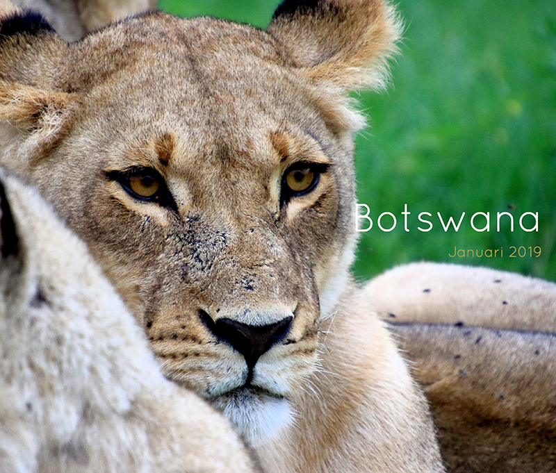 Botswana 2019