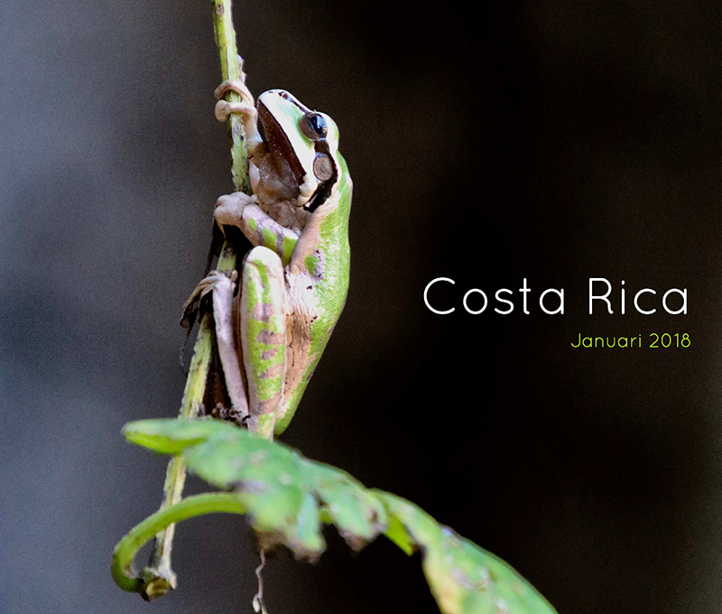 Costa Rica: 2018