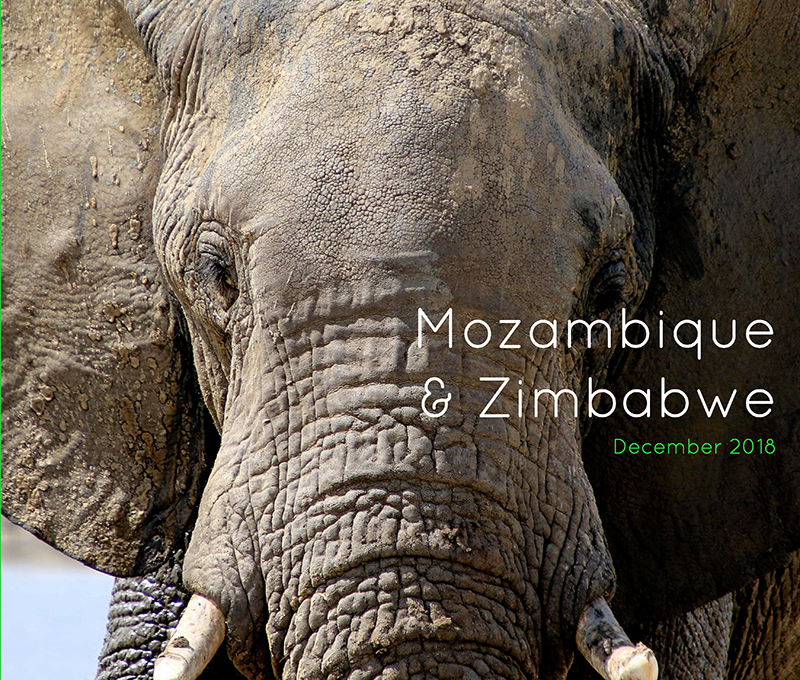 Mozambique en Zimbabwe: 2018