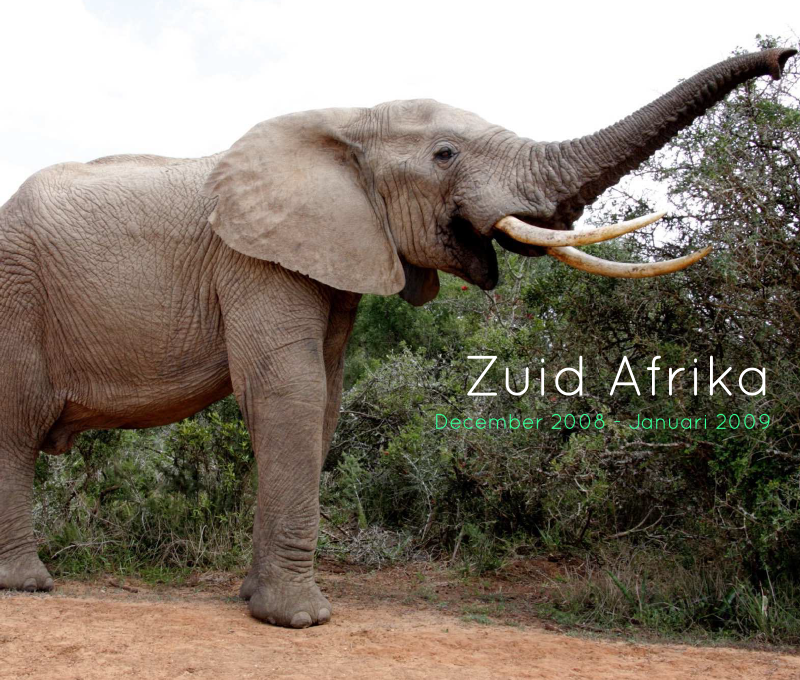 Zuid Afrika: 2008-2009