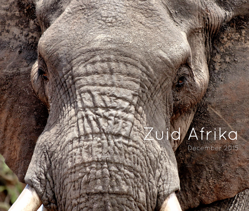 Zuid Afrika: 2015