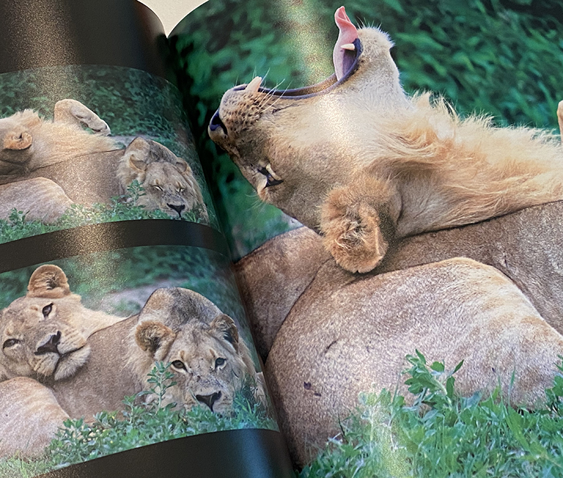 Botswana 2019